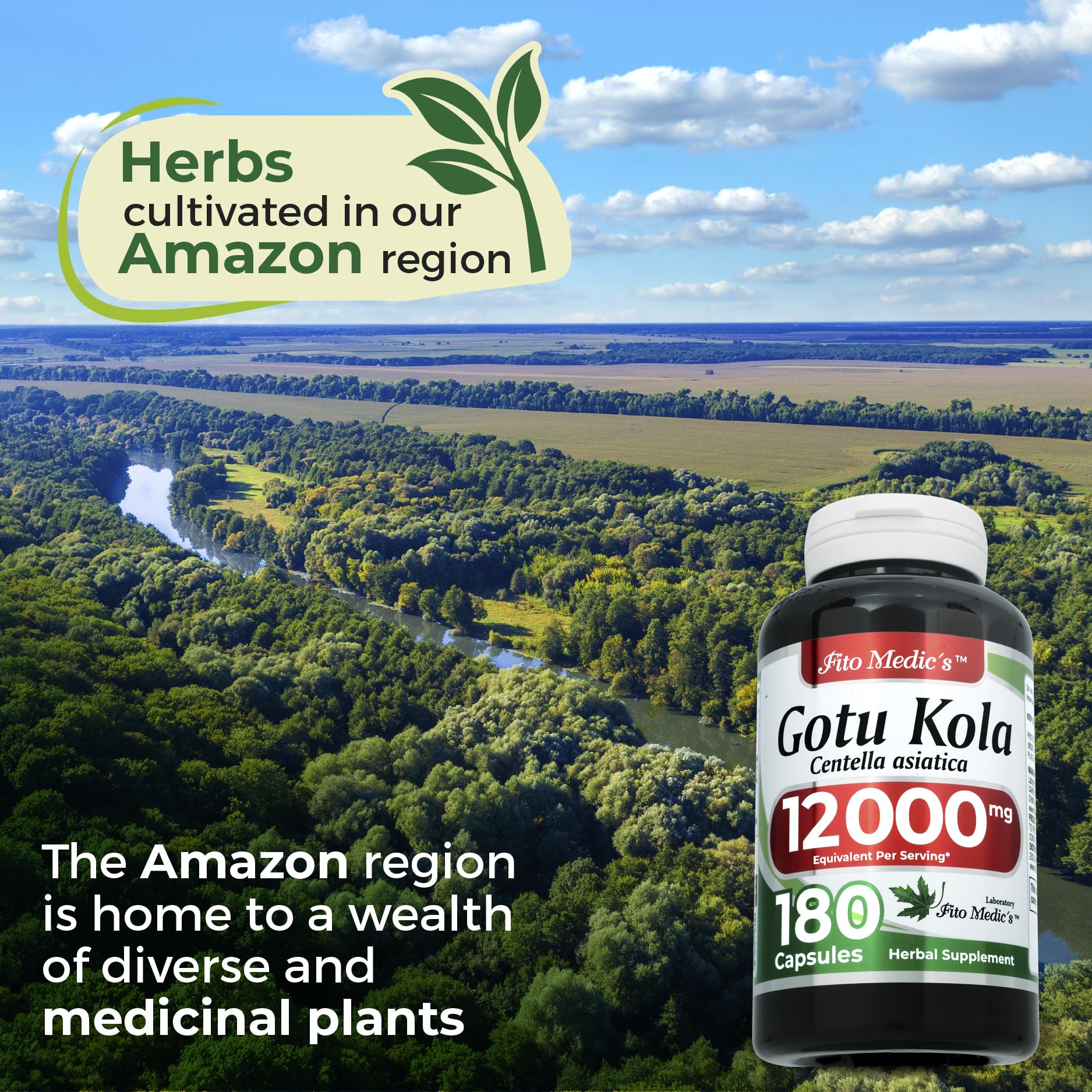 Fito Medics Gotu Kola capsules highlighting the 12000 milligram raw herb equivalent.