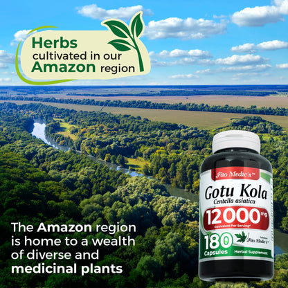 Fito Medics Gotu Kola capsules highlighting the 12000 milligram raw herb equivalent.