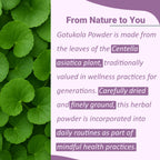 Finely milled Centella Asiatica green herbal powder for wellness