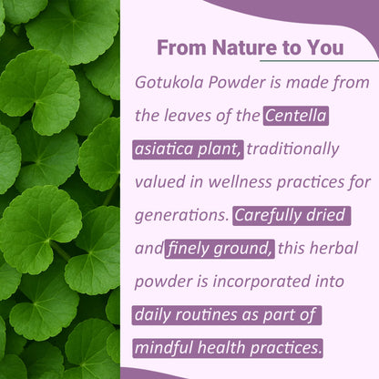 Finely milled Centella Asiatica green herbal powder for wellness
