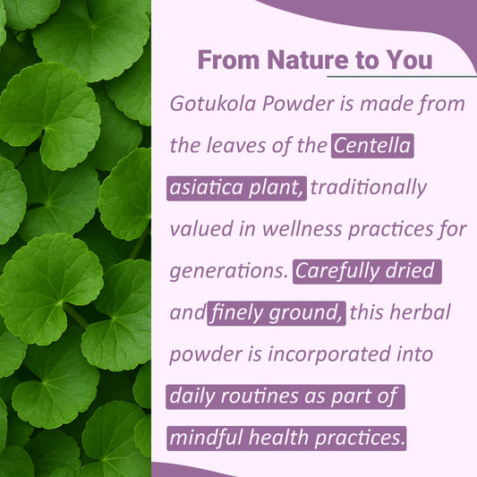 Finely milled Centella Asiatica green herbal powder for wellness
