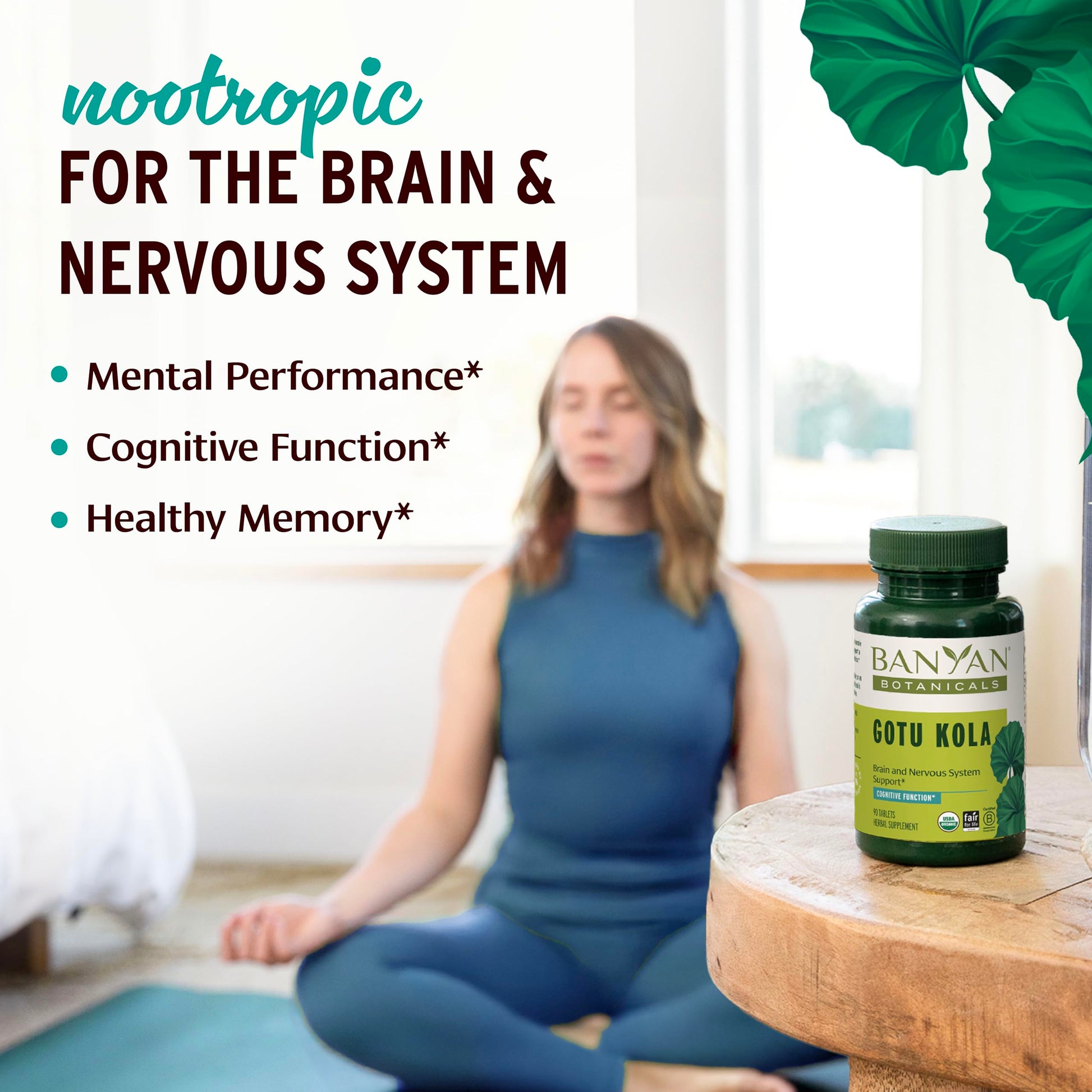 Banyan Botanicals Gotu Kola Ayurvedic tablets label details listing USDA Organic certified ingredients
