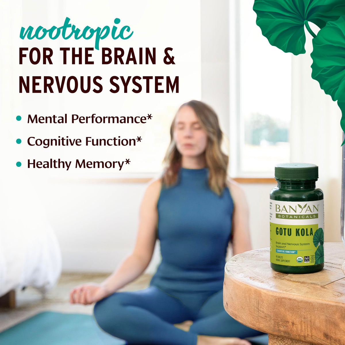 Banyan Botanicals Gotu Kola Ayurvedic tablets label details listing USDA Organic certified ingredients