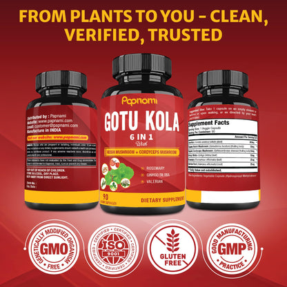 Papnami Organic Gotu Kola capsules packaging seals and organic certifications