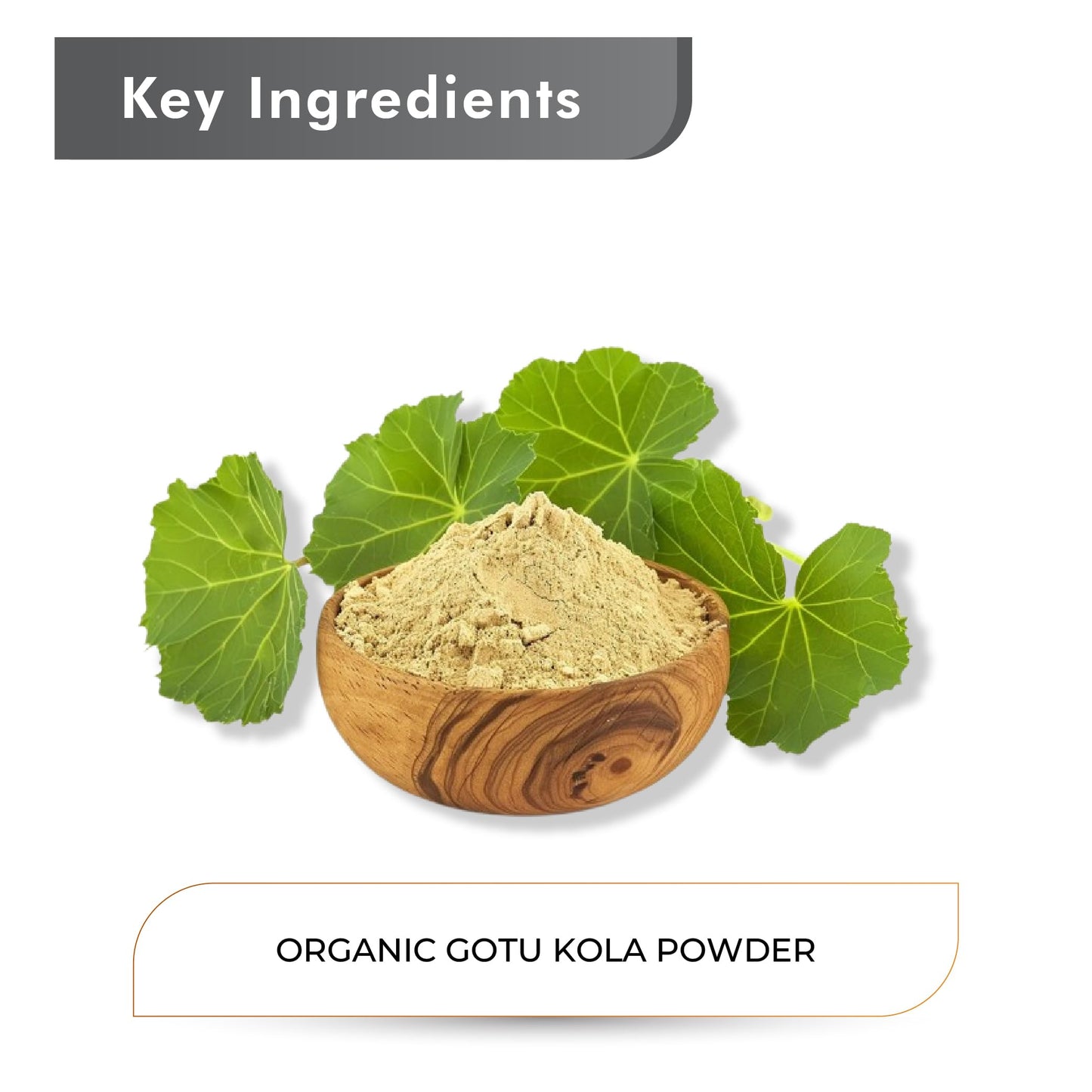 Fine texture close up view of pure green organic Gotu Kola powder by Just Jaivik