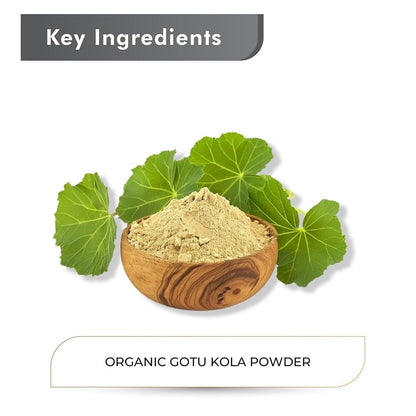Just Jaivik authentic organic Ayurvedic Gotu Kola powder displaying international health certification badges