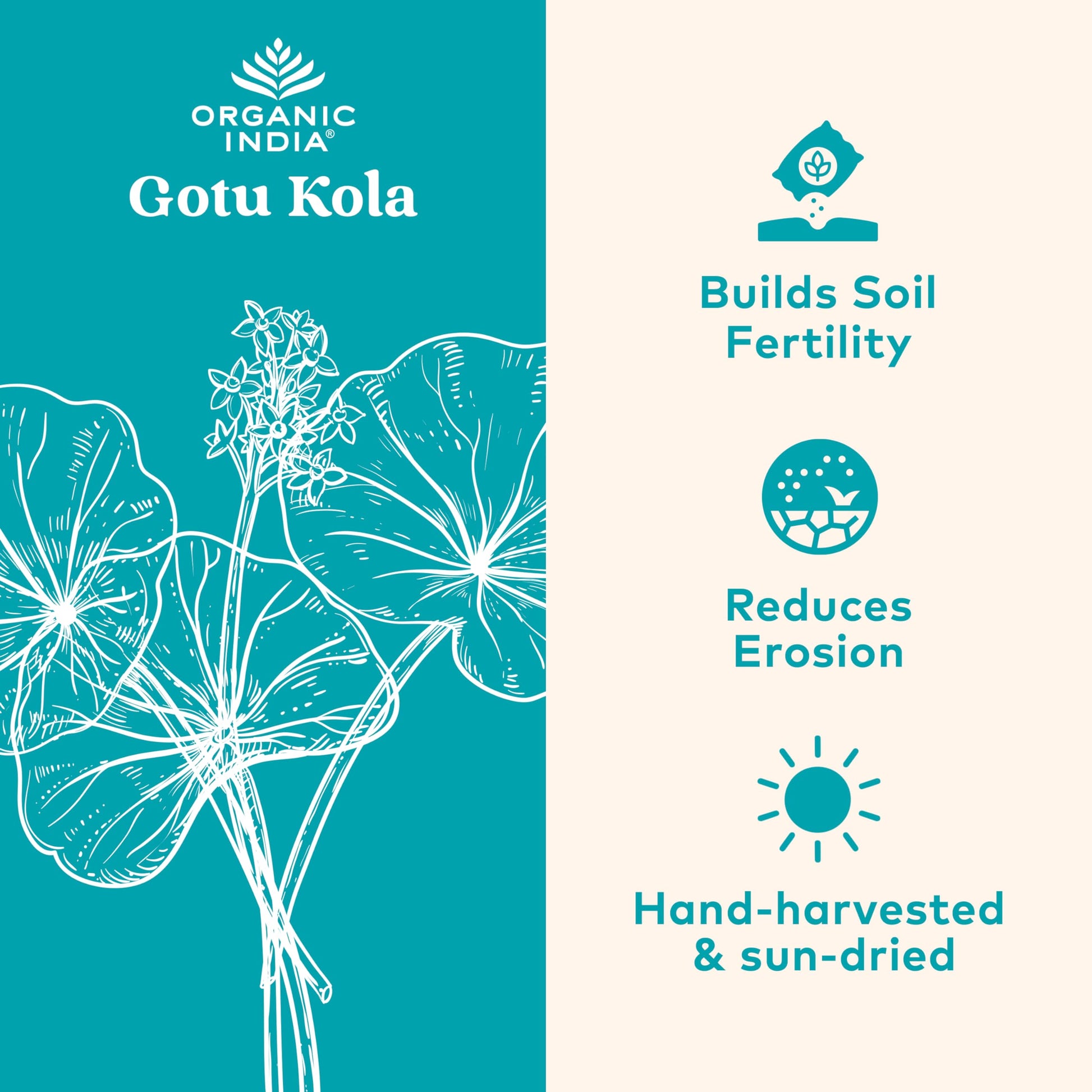 Organic India Gotu Kola dietary supplement label showing USDA Organic certification
