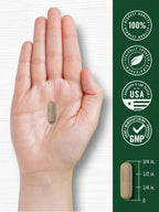 Full packaging view of Carlyle Gotu Kola traditional herb longevity supplement bottle