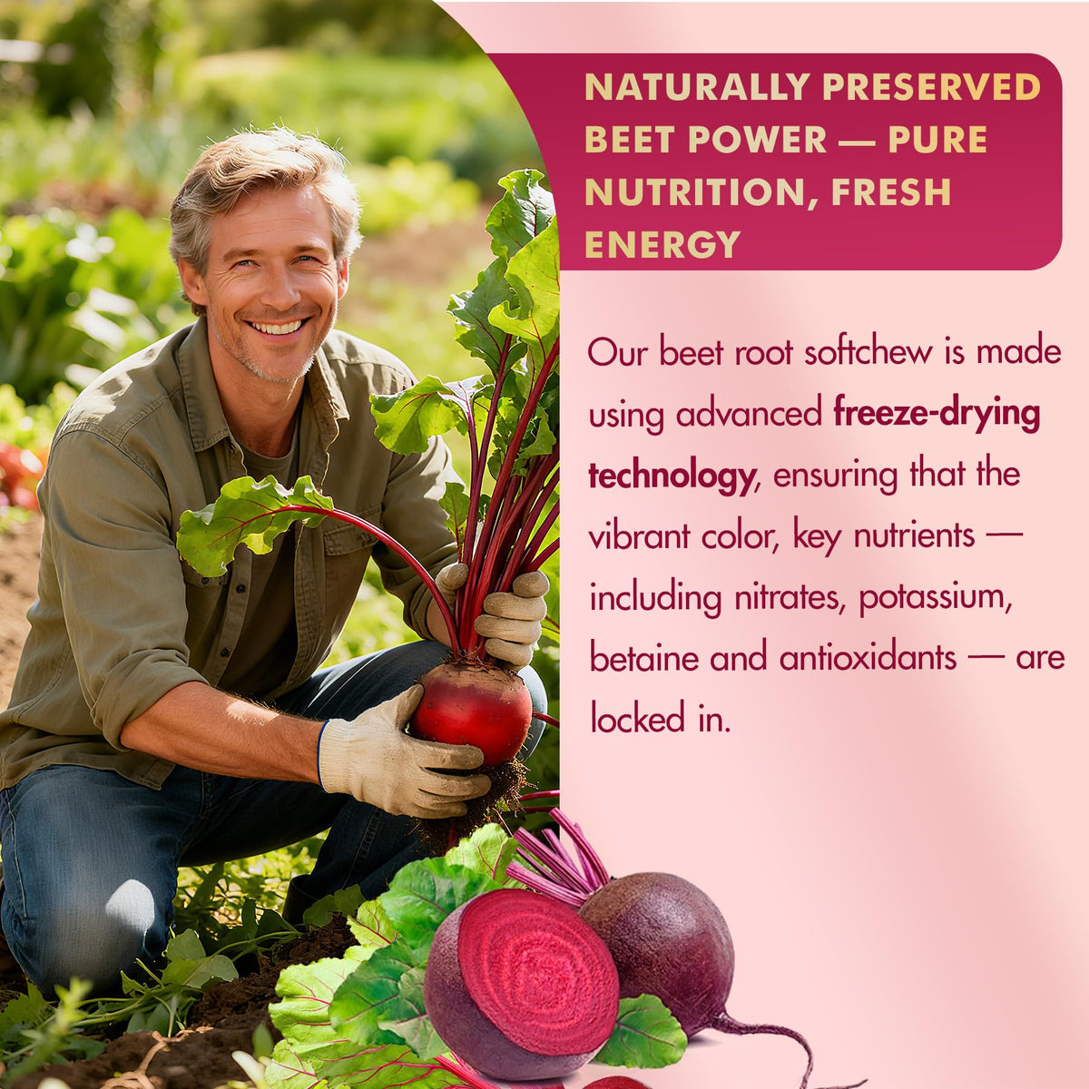 Side view of Neviss Beet Root supplement bottle