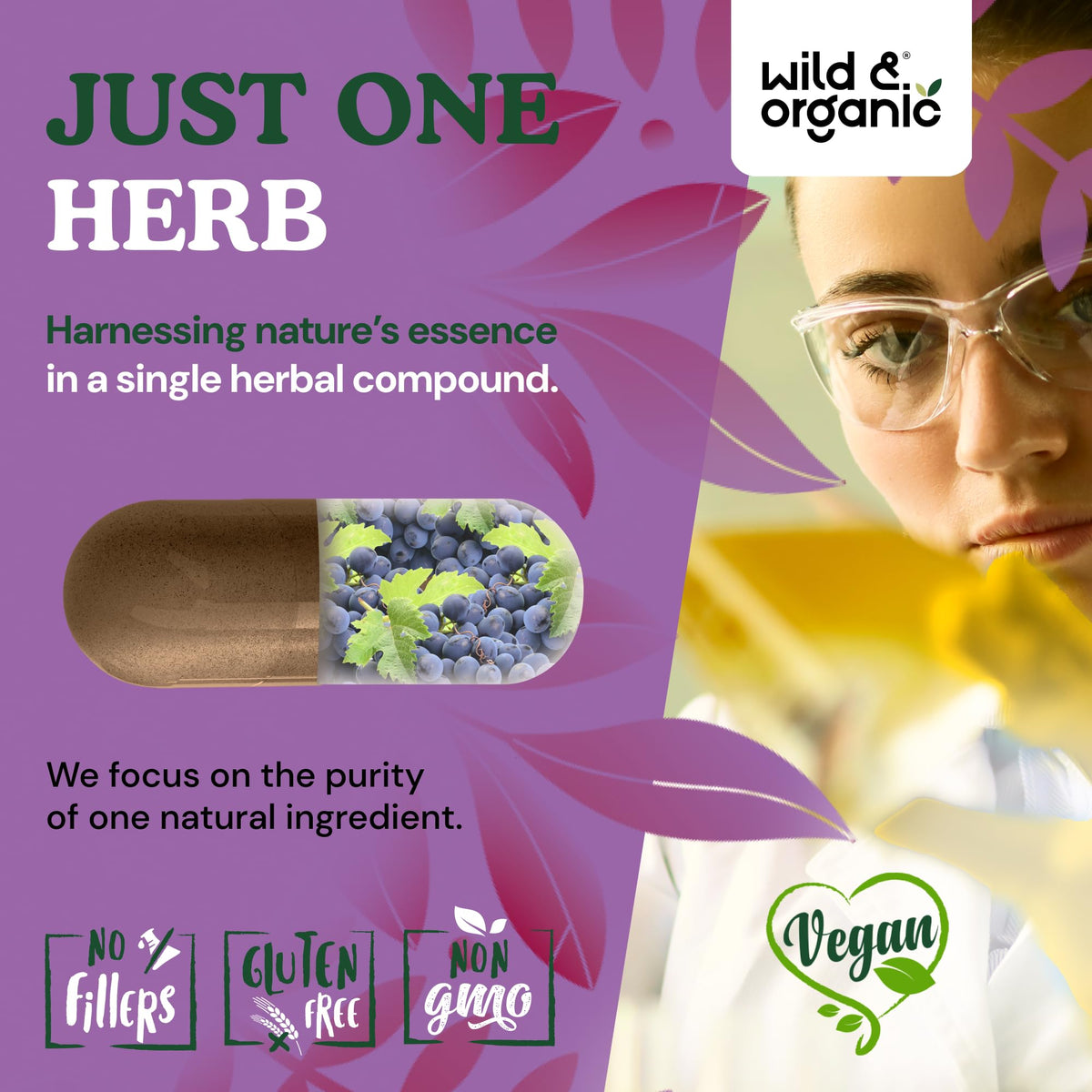 Wild and Organic Grape Seed Extract 90 count bottle display