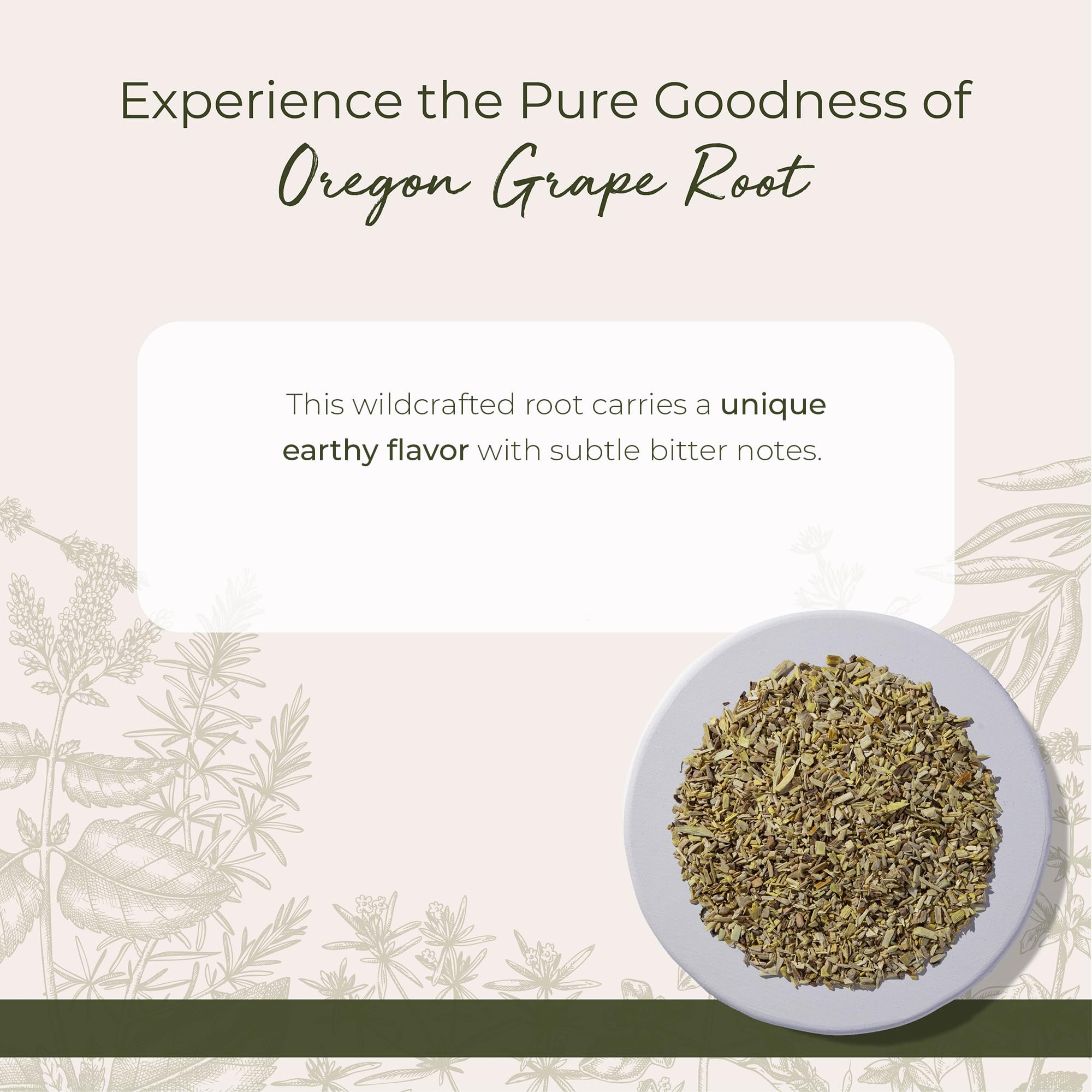 Close up of Oregon Grape Root botanical herb texture