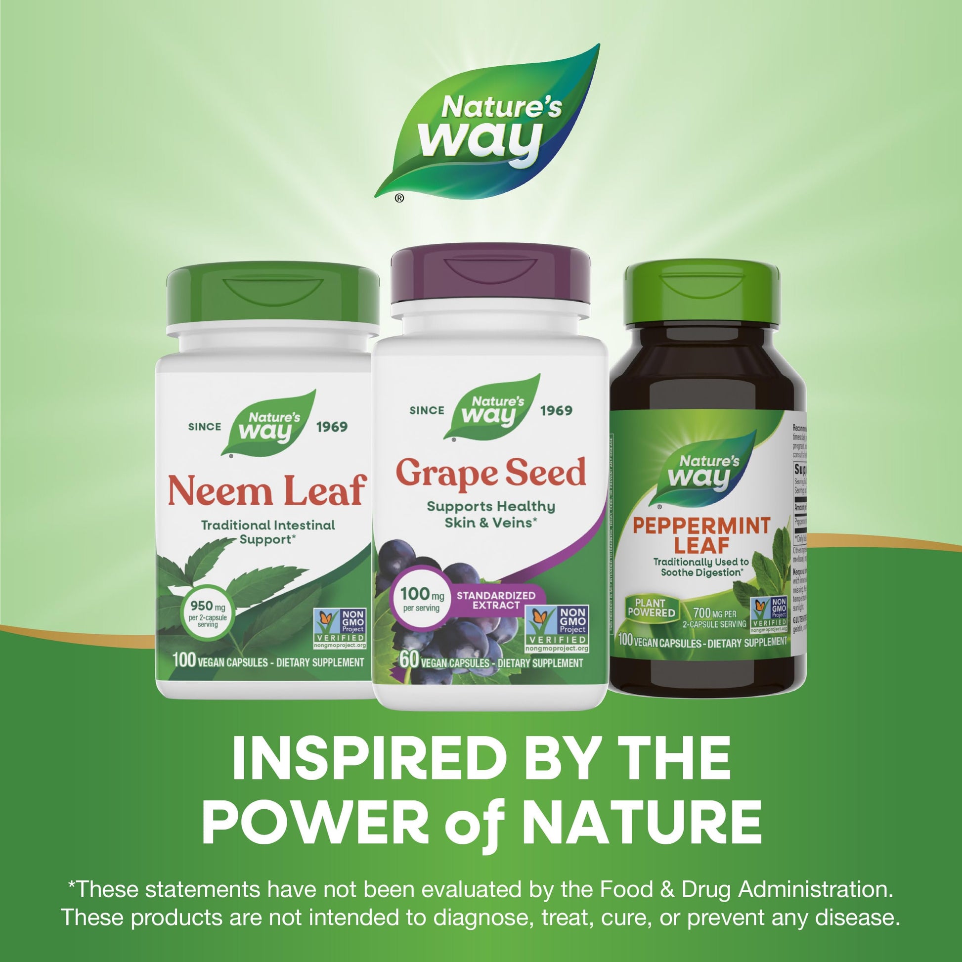 Authentic Nature's Way 95 Percent Polyphenols Antioxidant Support Capsules