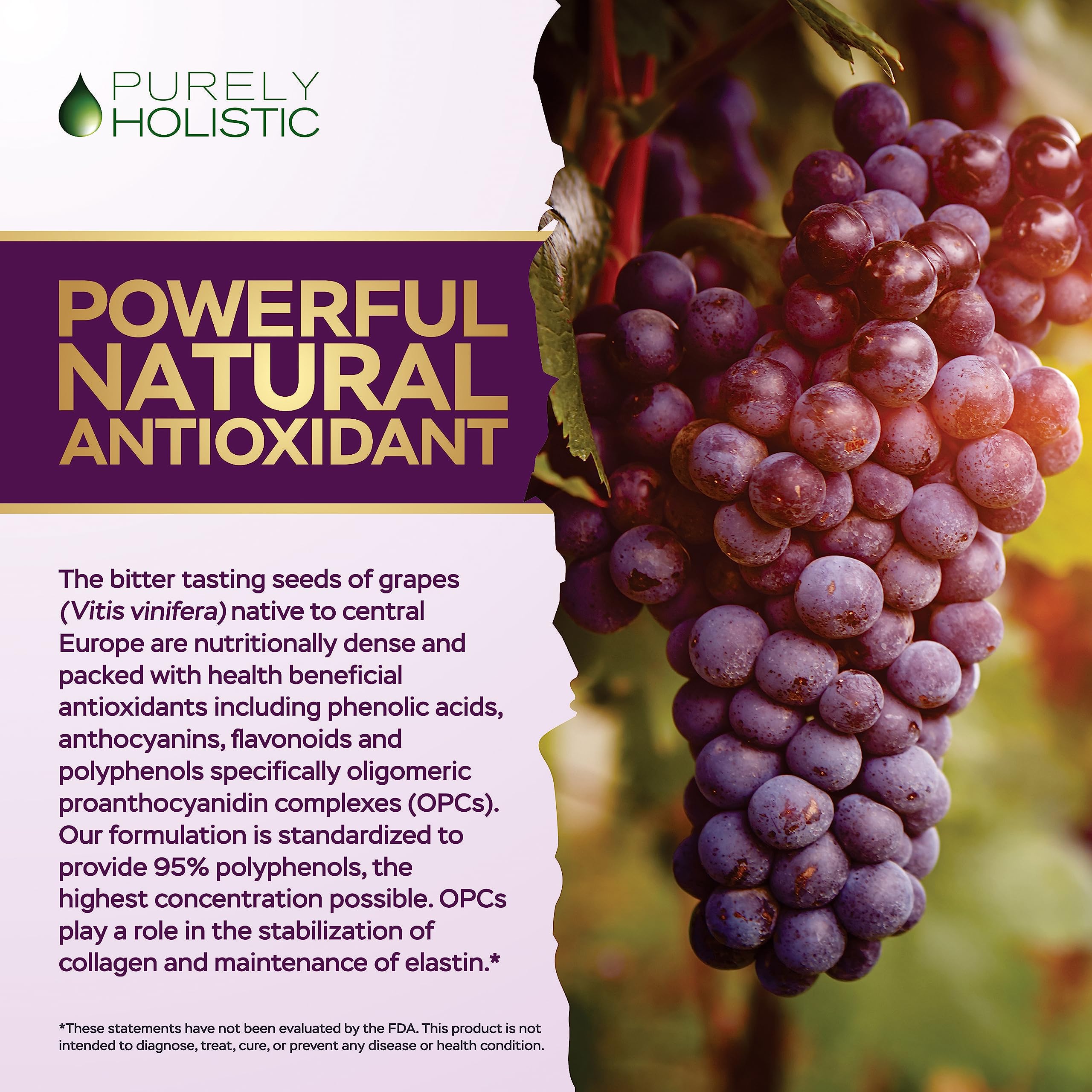 Purely Holistic Grape Seed Extract bottle showing 400mg potency