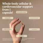 Terry Naturally Clinical OPC side profile of packaging