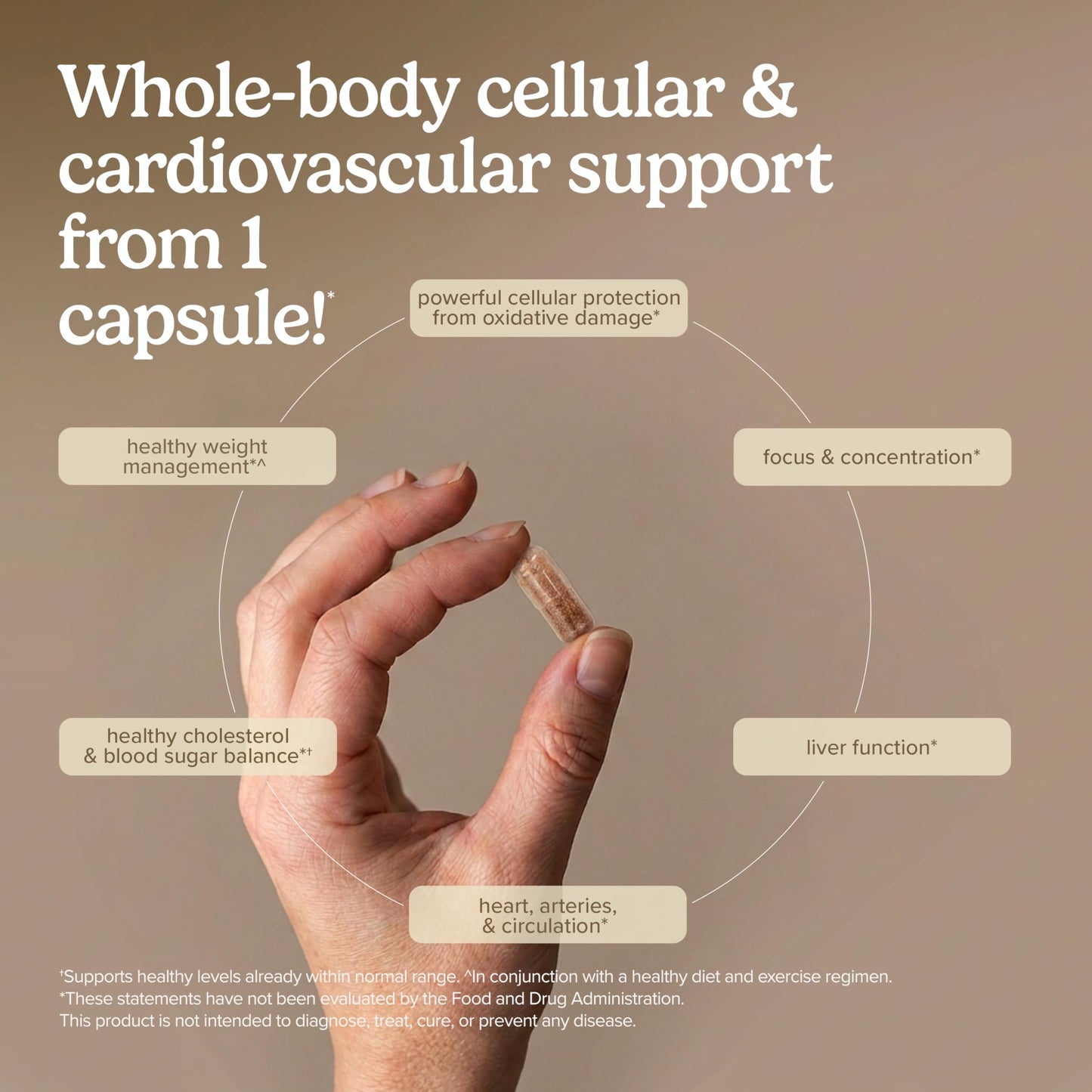 Terry Naturally Clinical OPC side profile of packaging