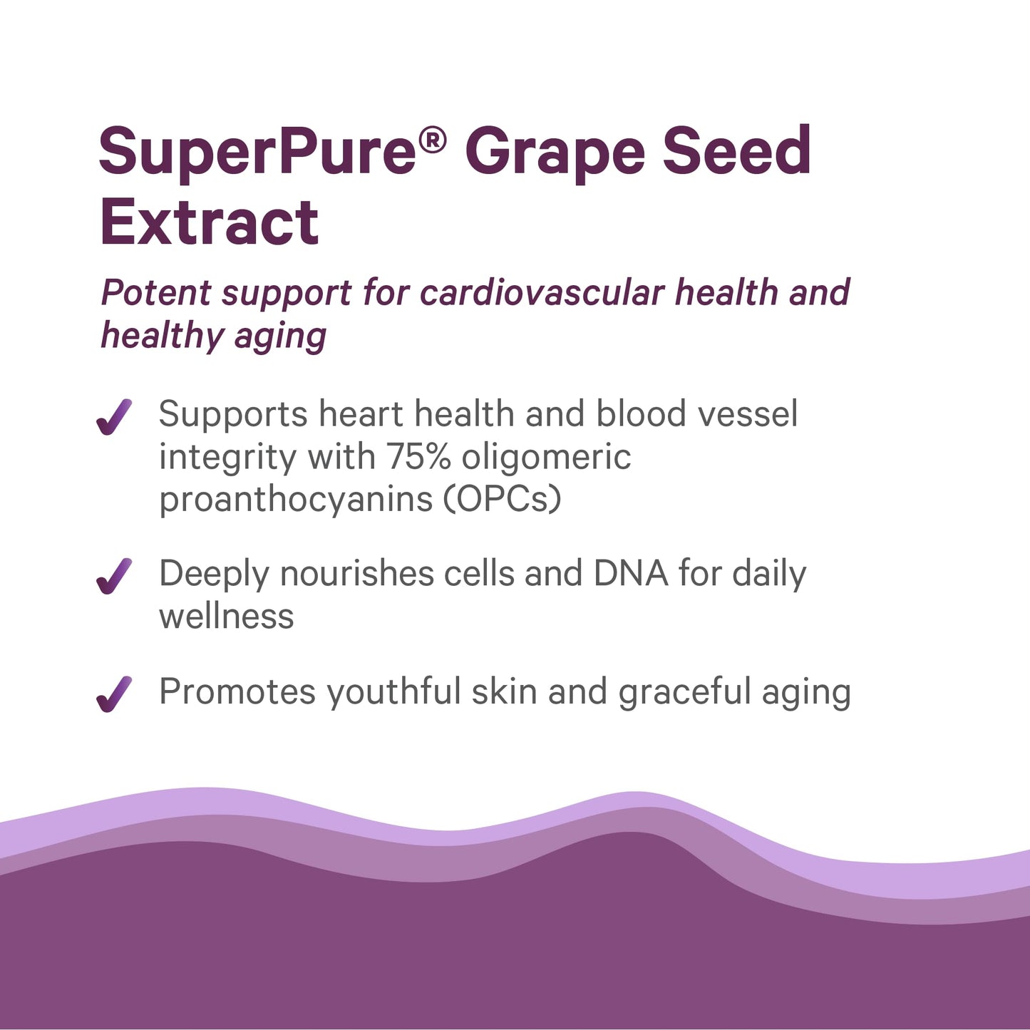 Pure Synergy organic whole fruit grape seed extract bottle