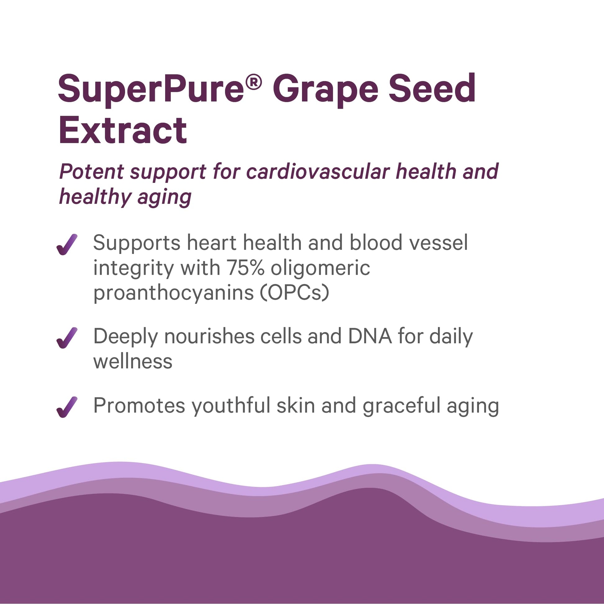 Pure Synergy organic whole fruit grape seed extract bottle