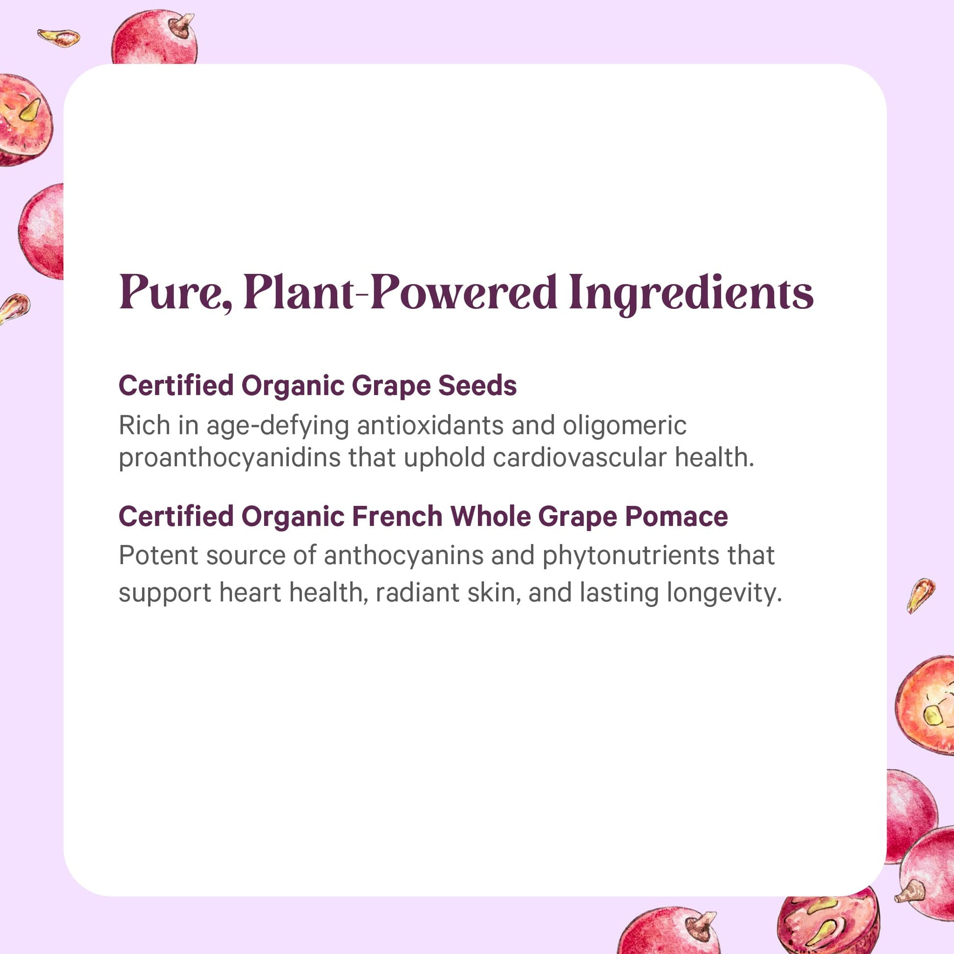 Premium USA imported grape seed supplement bottle