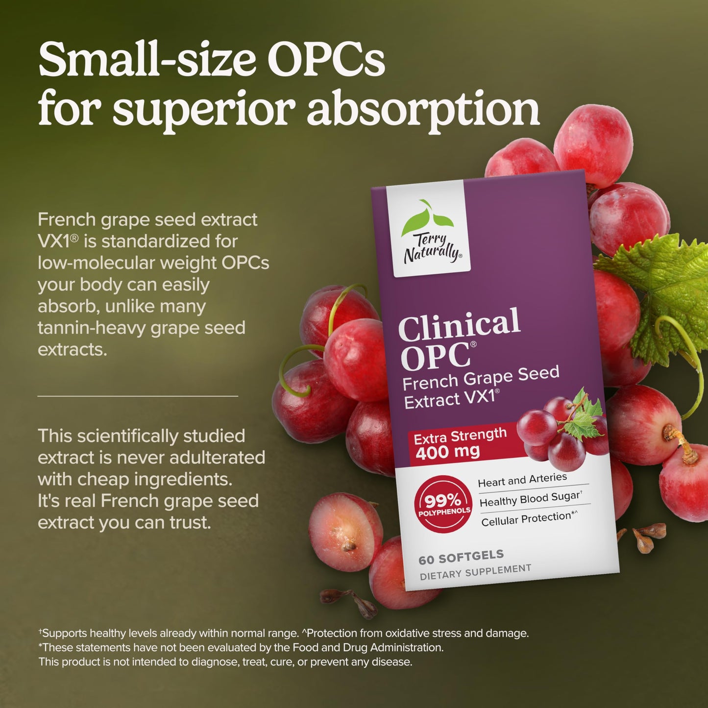 Terry Naturally Clinical OPC 400mg grape seed extract label