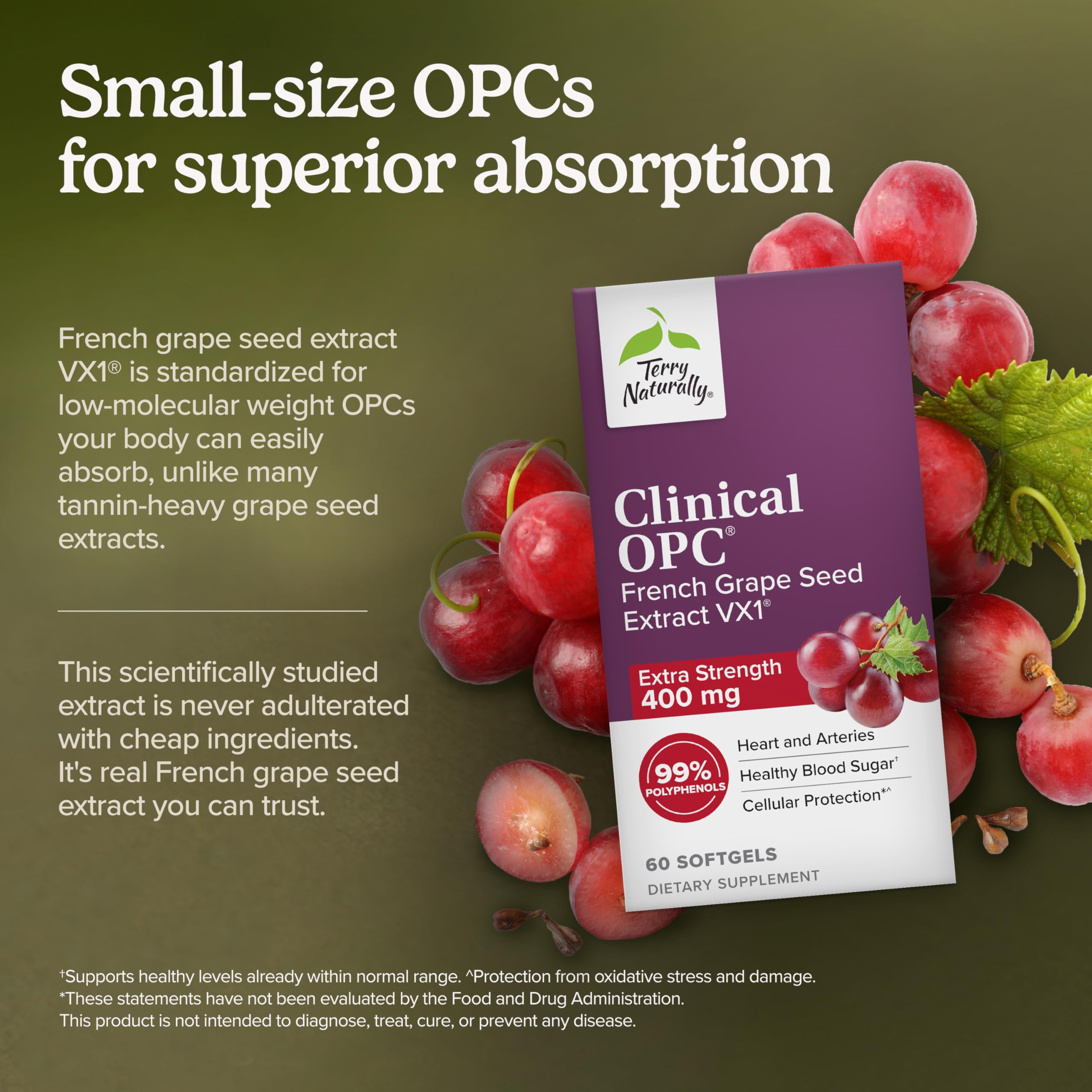 Terry Naturally Clinical OPC 400mg grape seed extract label
