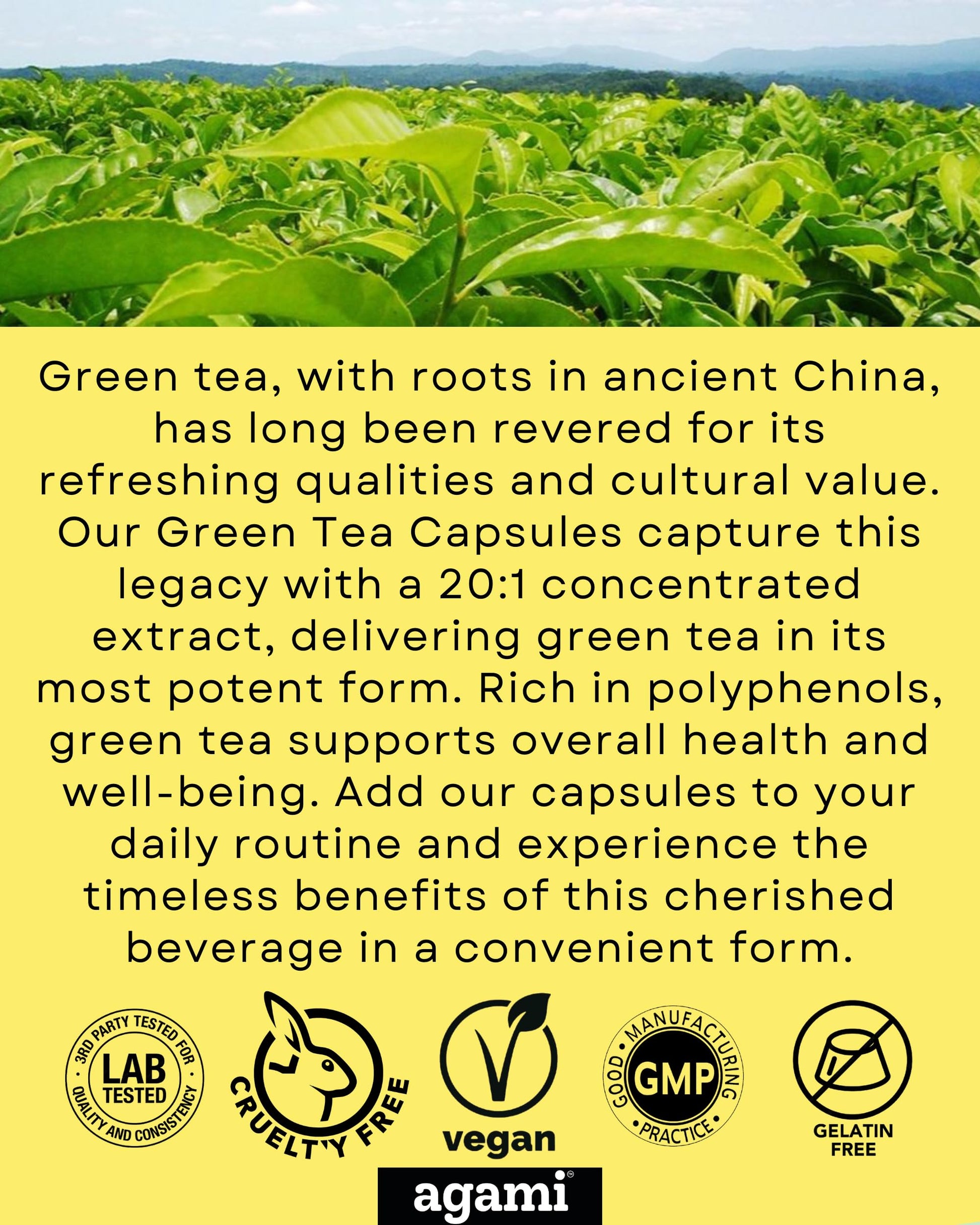 Agami Green Tea Extract 20 to 1 concentrate detail