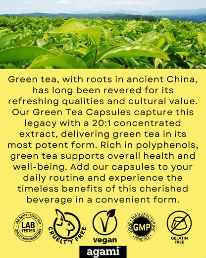Agami Green Tea Extract 20 to 1 concentrate detail