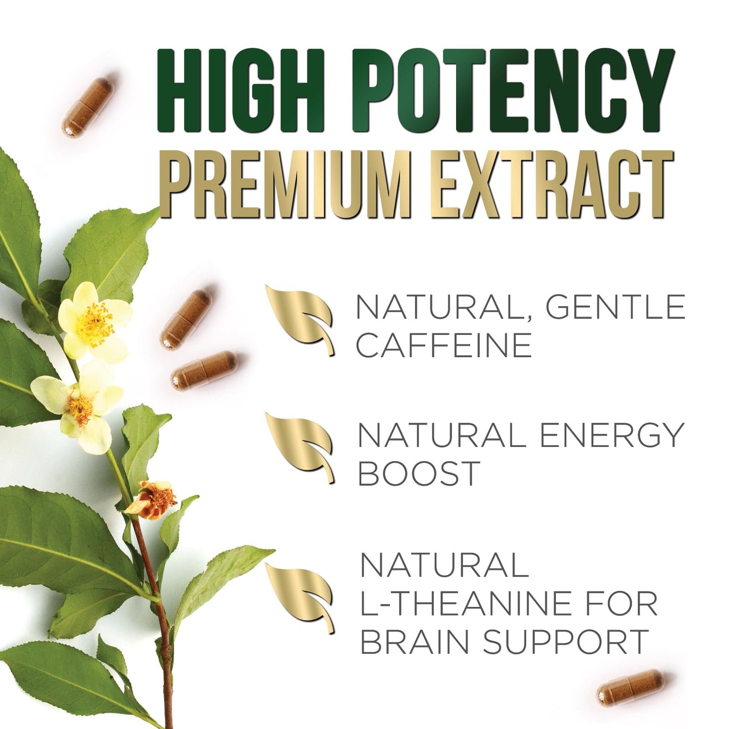 Natures Nutrition green tea capsules packaging display