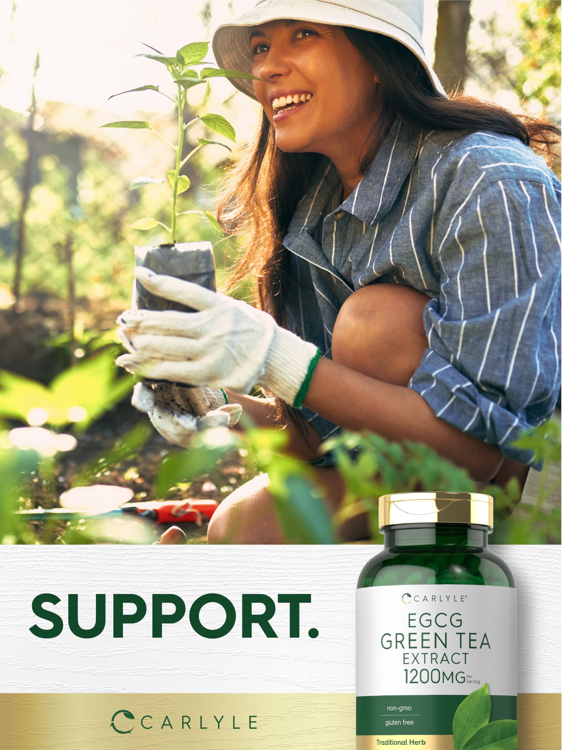 Carlyle EGCG green tea extract bottle displaying serving size