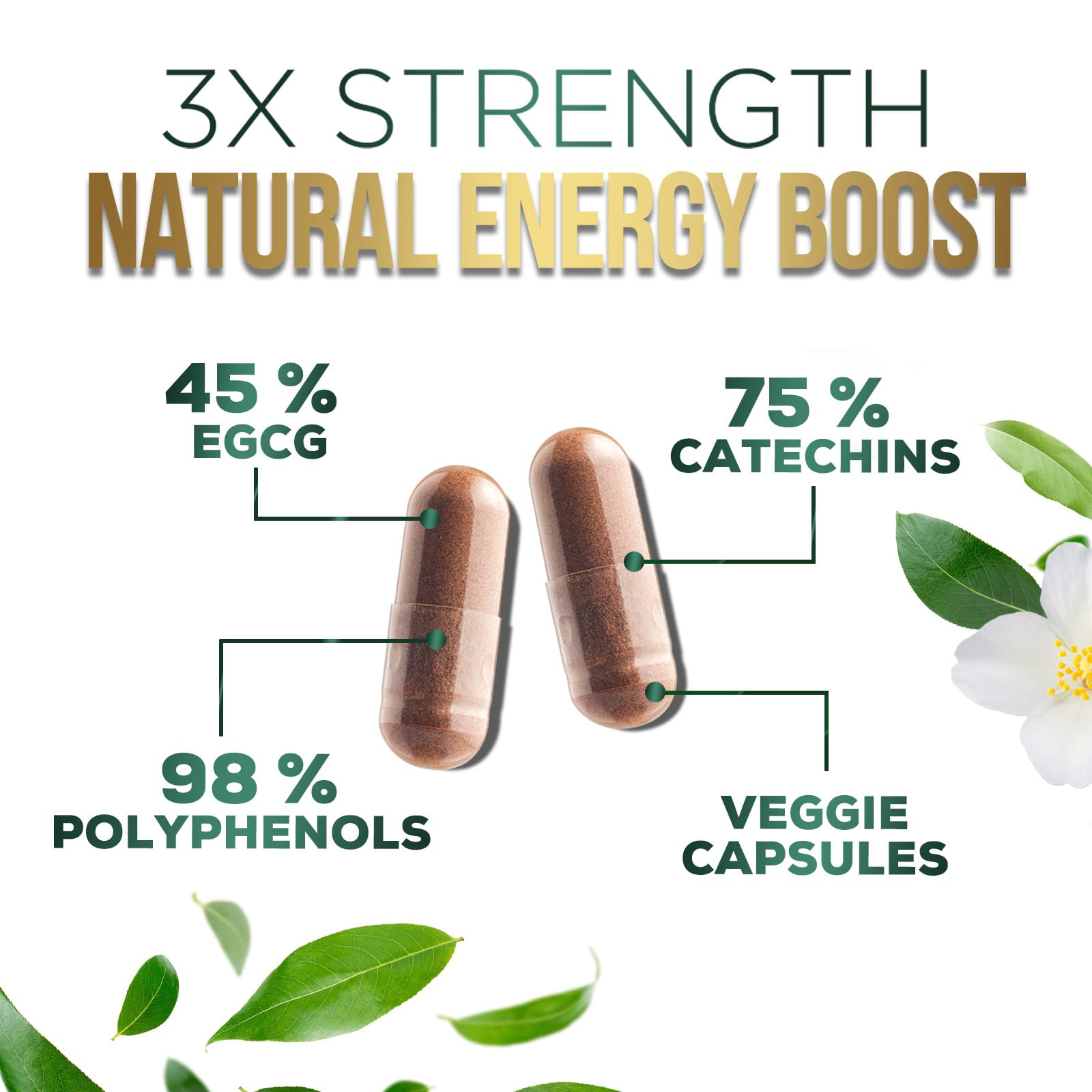 Back of SilverOnyx Green Tea Extract bottle showing ingredients