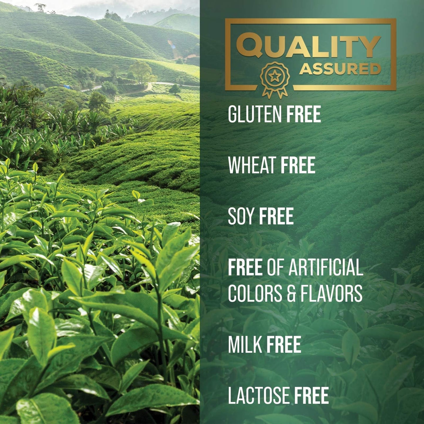 SilverOnyx Green Tea Extract safety seal and packaging