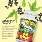 Two bottles of Applied Nutrition Green Tea Fat Burner pack of two