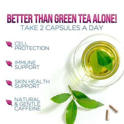 Green tea extract 45 percent EGCG standardized formula bottle