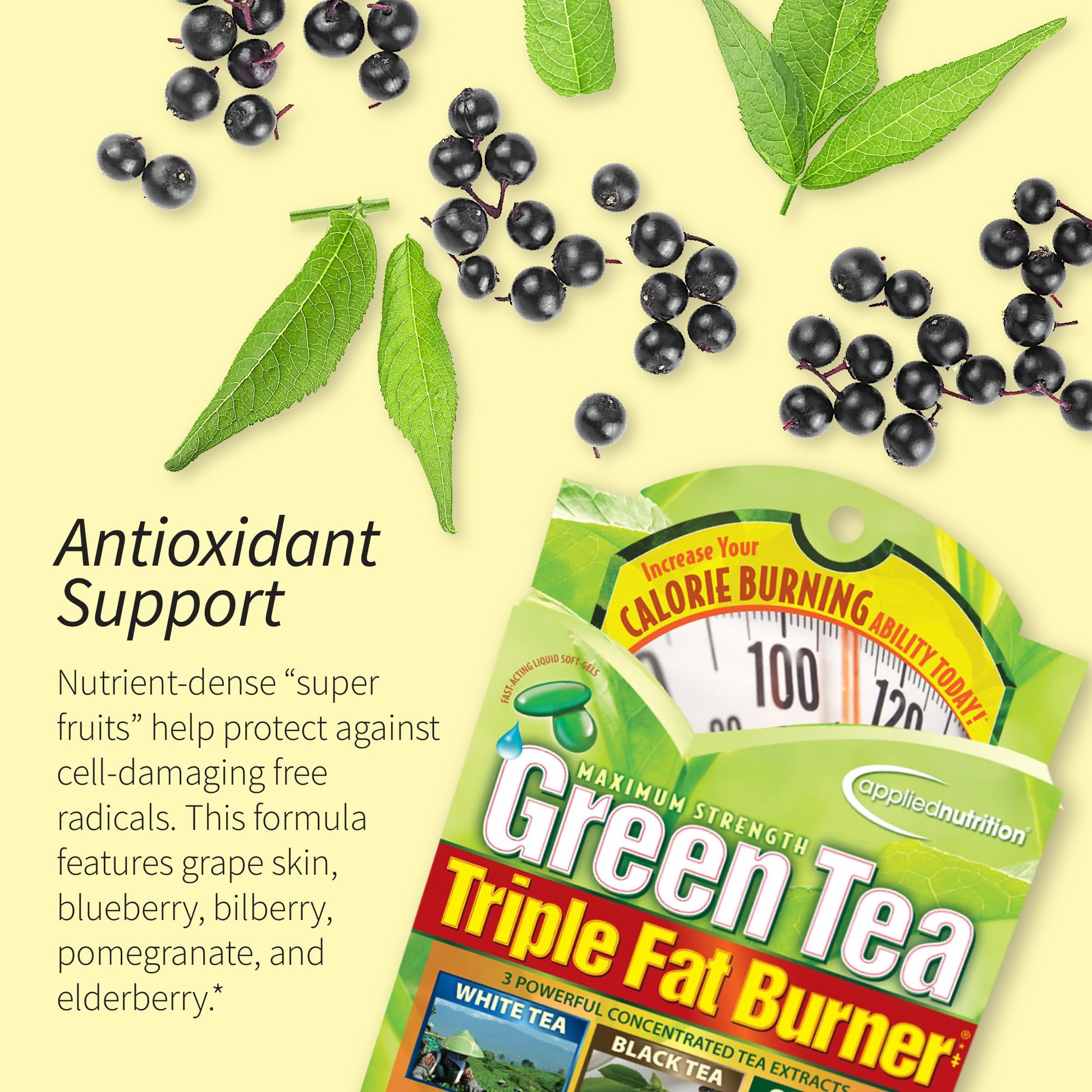 Applied Nutrition fat burner supplement facts label