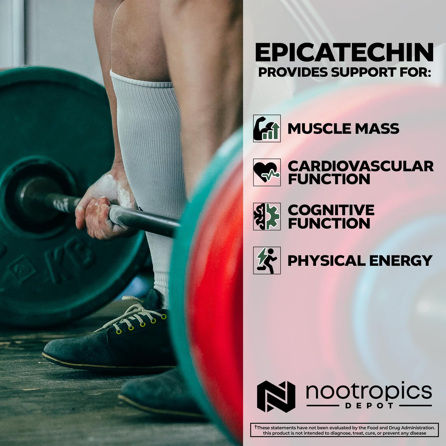 High-purity Epicatechin tablets for muscle recovery