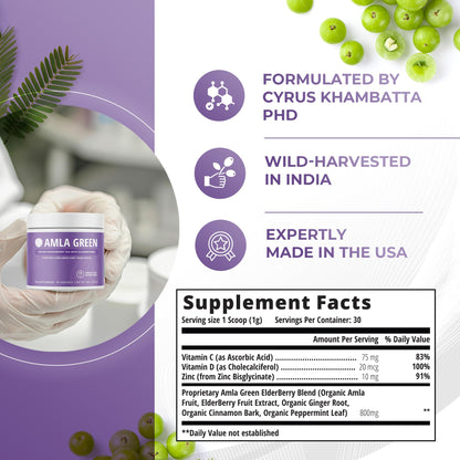 Amla Green 20x concentrated superfood powder tub