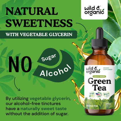 Authentic USA imported green tea extract supplement bottle