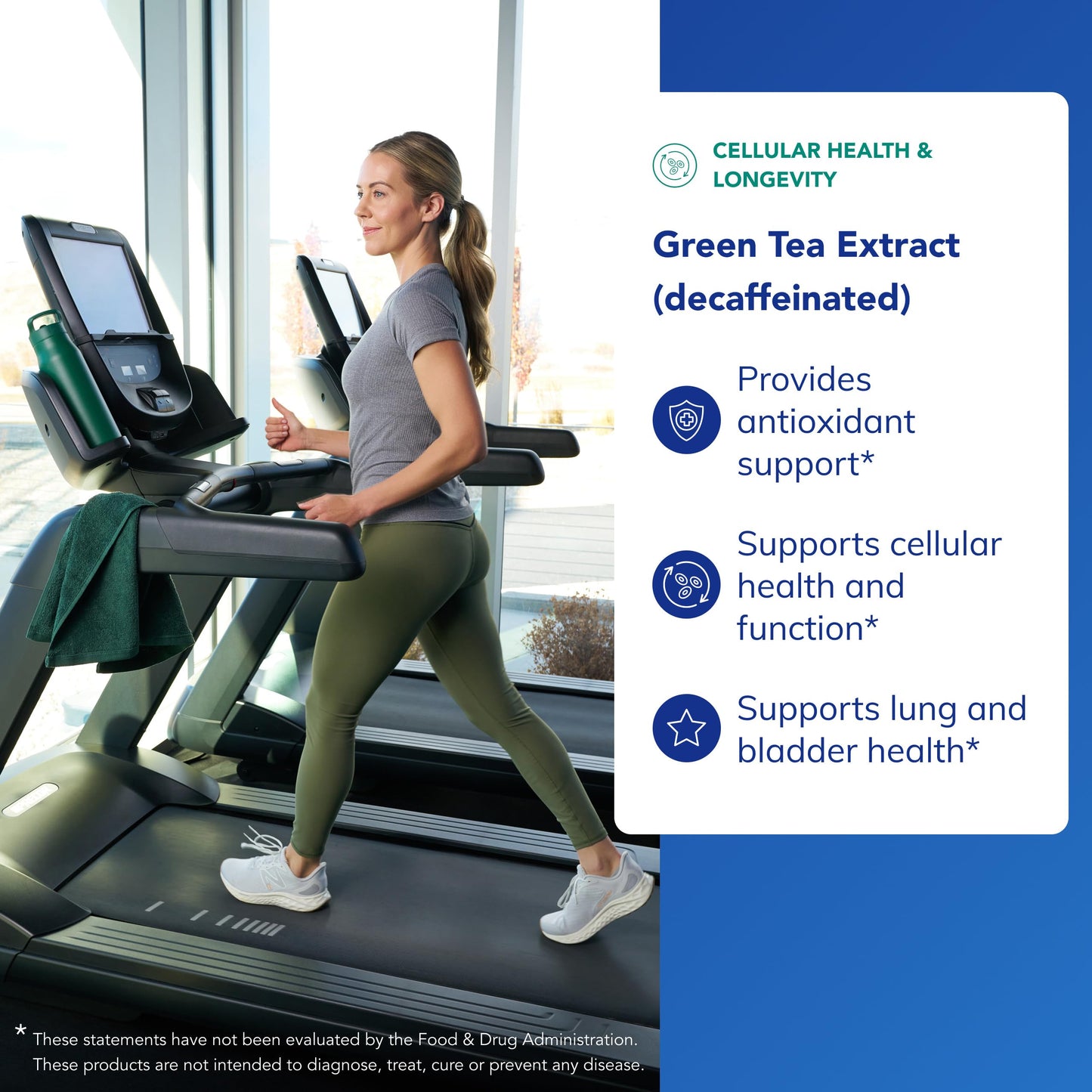 Pure Encapsulations decaffeinated green tea capsules close up