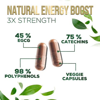 Green tea extract supplement facts and serving information