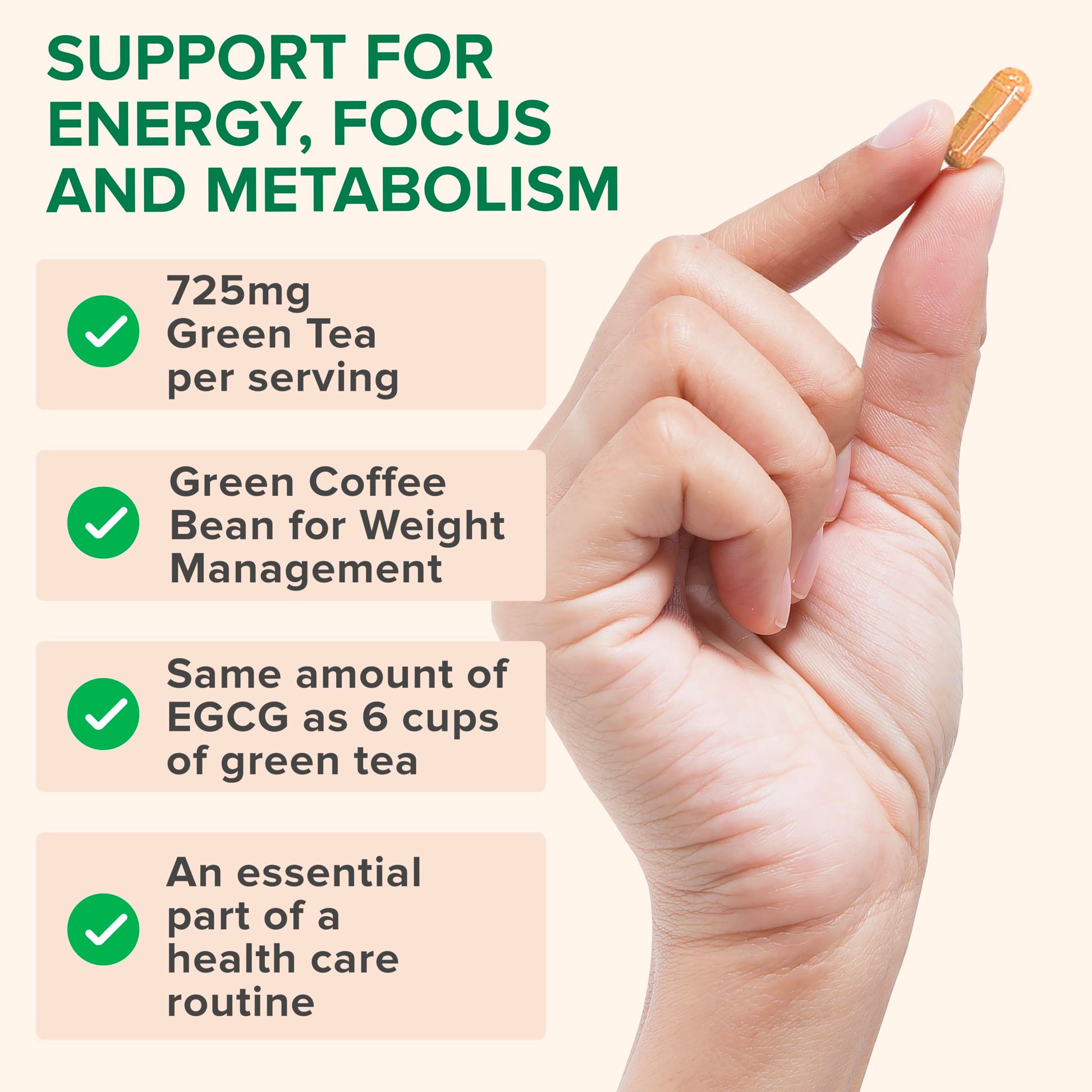 Close up of Zenwise Health EGCG green tea extract capsule packaging