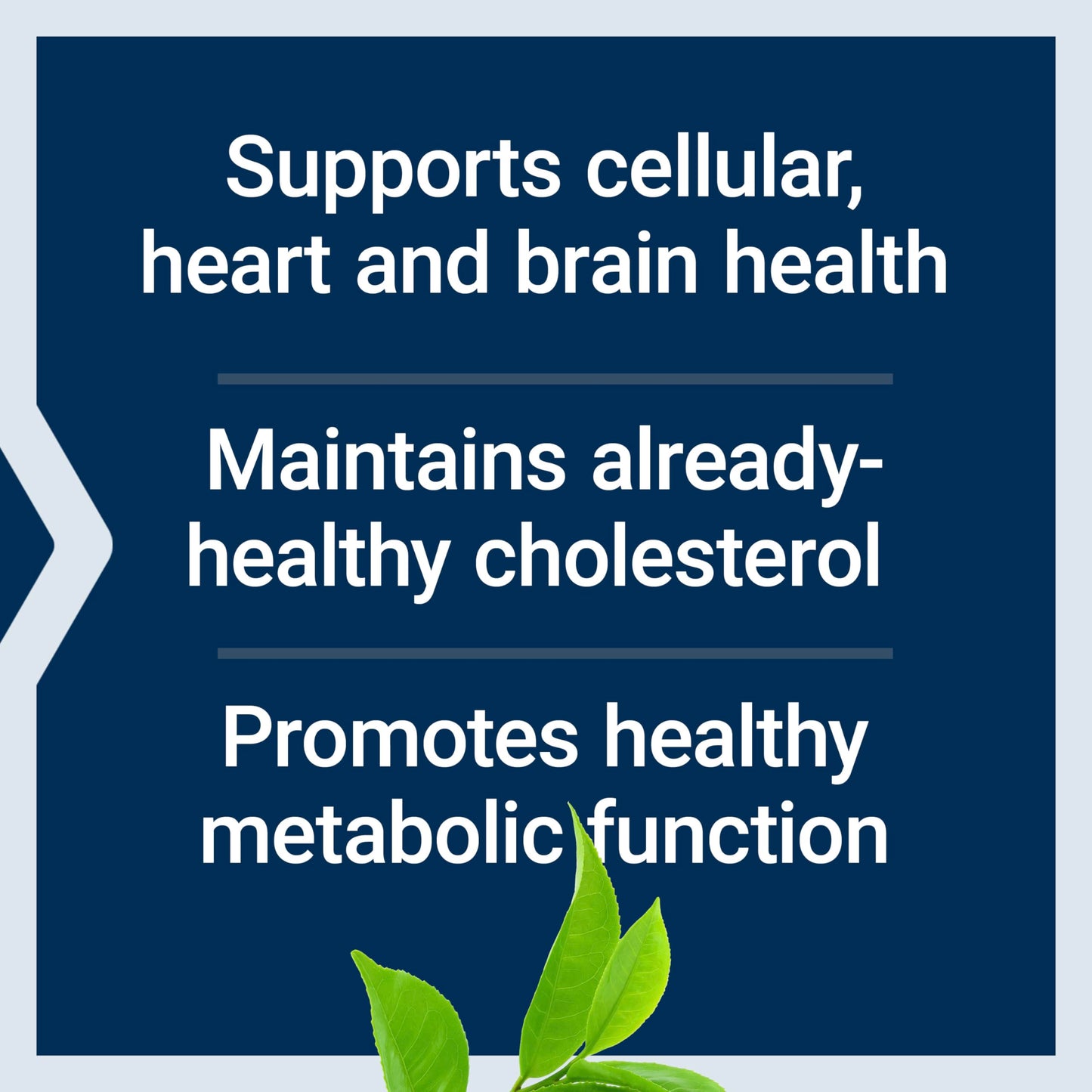 Life Extension antioxidant support supplement packaging details