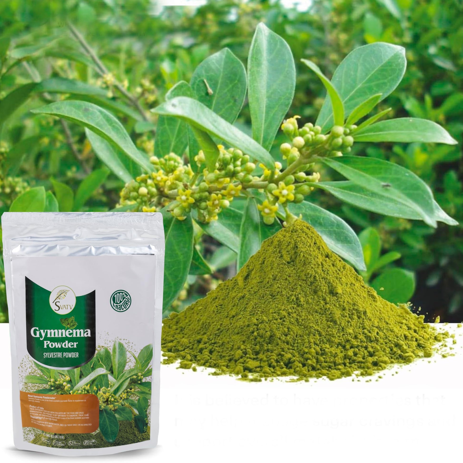 Finely milled green SVATV Gurmar powder displayed next to its resealable pouch