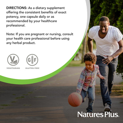 NaturesPlus Herbal Actives Gymnema Sylvestre dietary supplement bottle highlighting 75 percent gymnemic acids