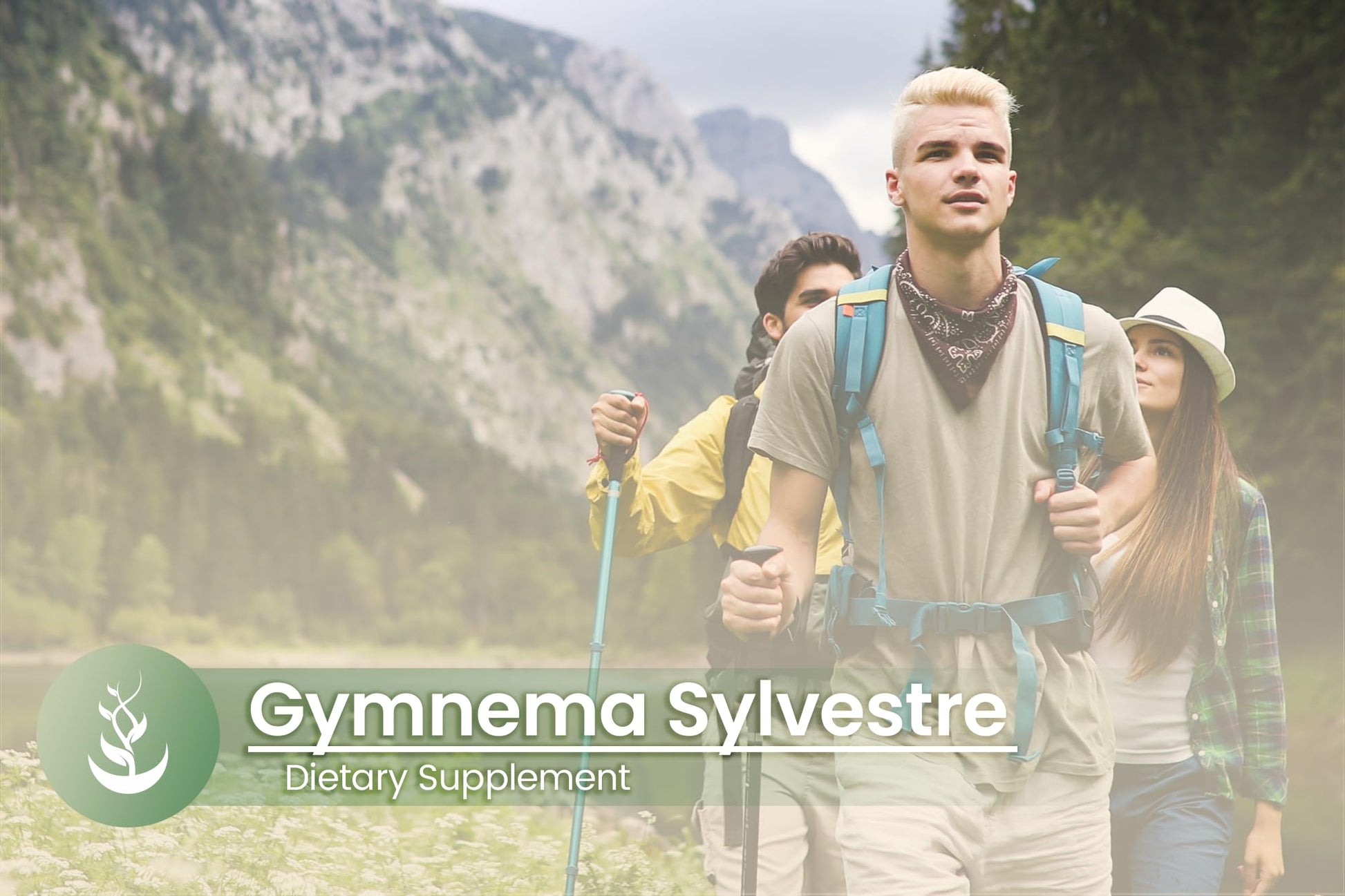 Side view of Pure Original Ingredients Gymnema Sylvestre bottle showing filler free product description