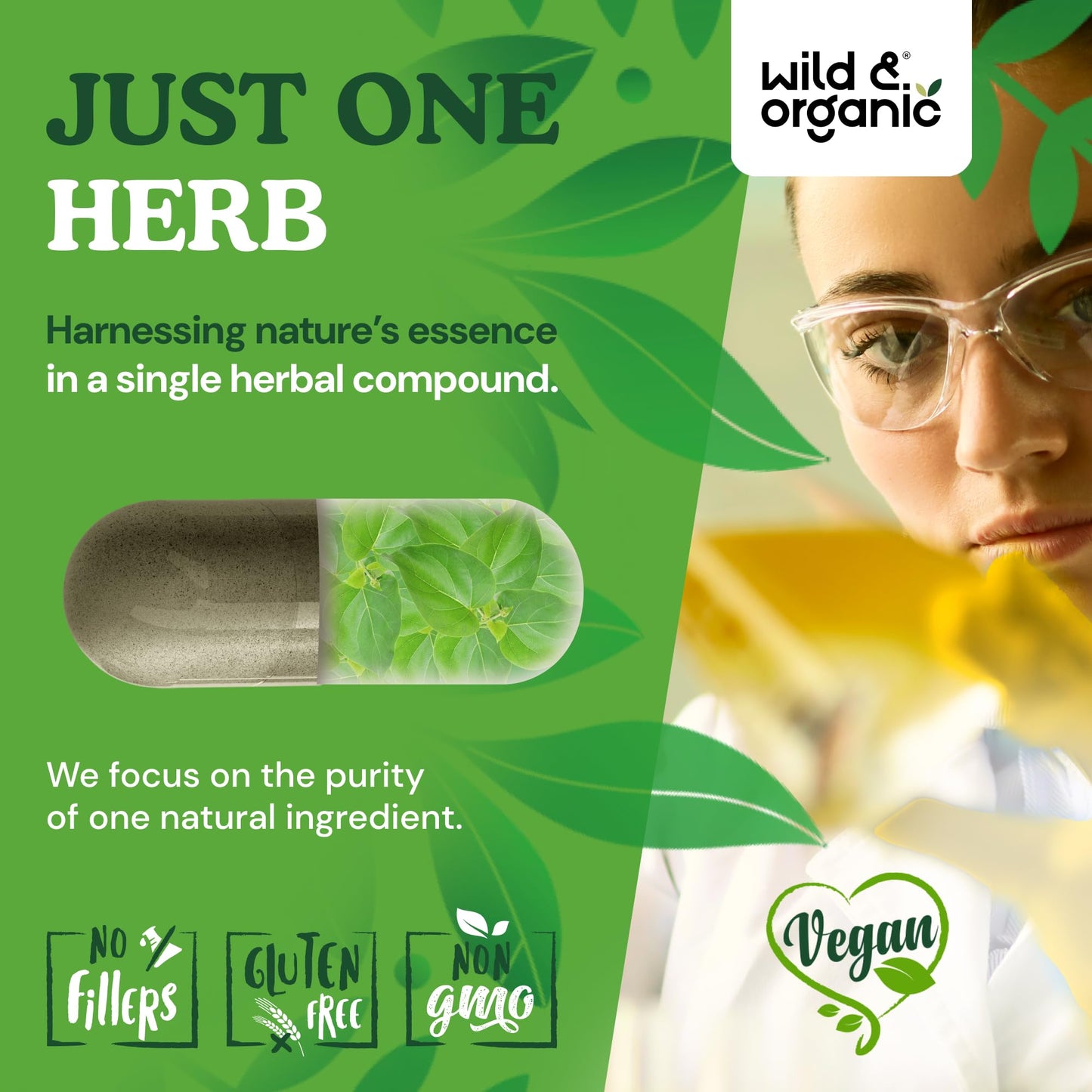 Wild and Organic Gymnema Sylvestre packaging showcasing the 120 day supply daily serving guide.