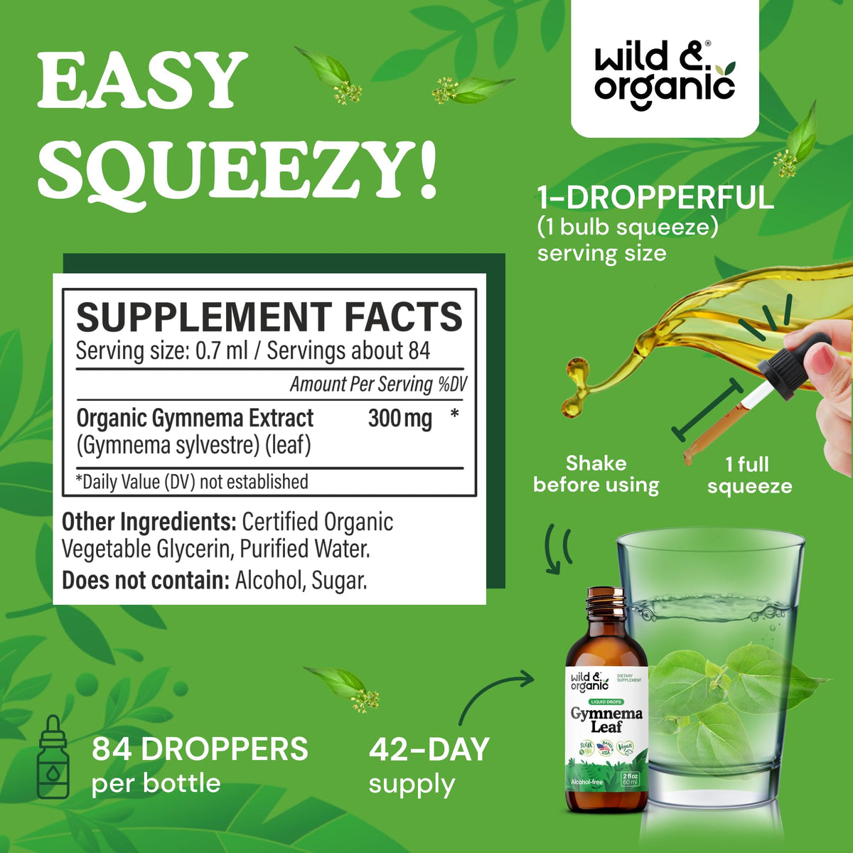 Alcohol free Gymnema Sylvestre liquid tincture close up of label and supplement facts