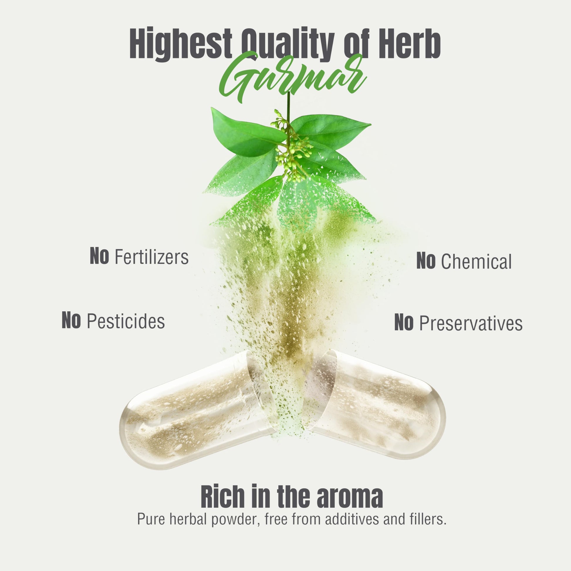 Side angle of Herbsforever Gymnema Sylvestre dietary supplement for sugar craving control