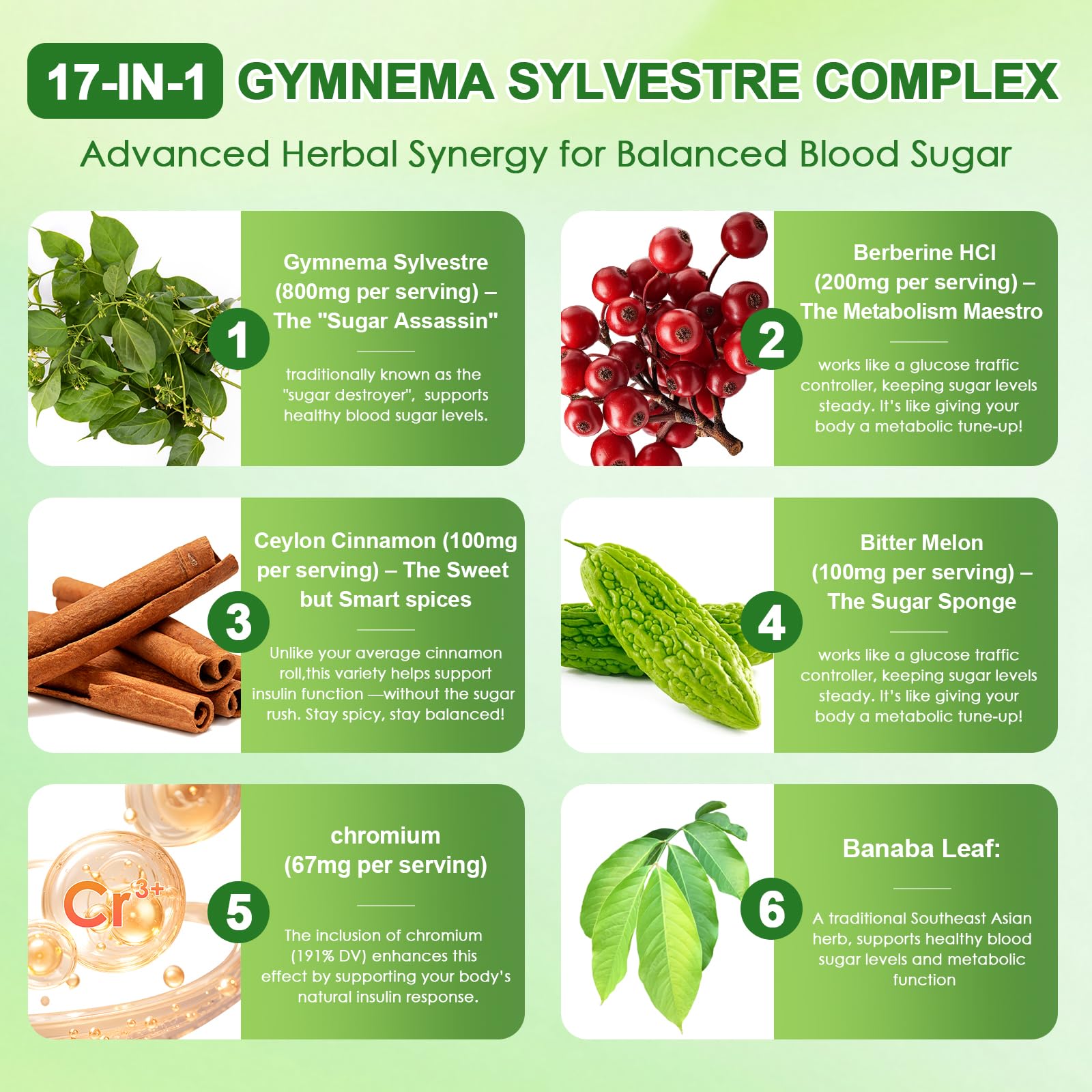 Migcopat Gymnema Sylvestre seventeen in one herbal complex nutritional supplement facts label close up