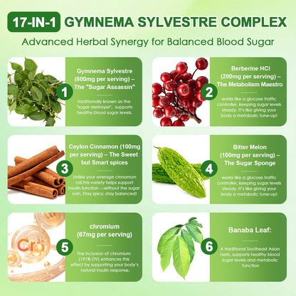 Migcopat Gymnema Sylvestre seventeen in one herbal complex nutritional supplement facts label close up