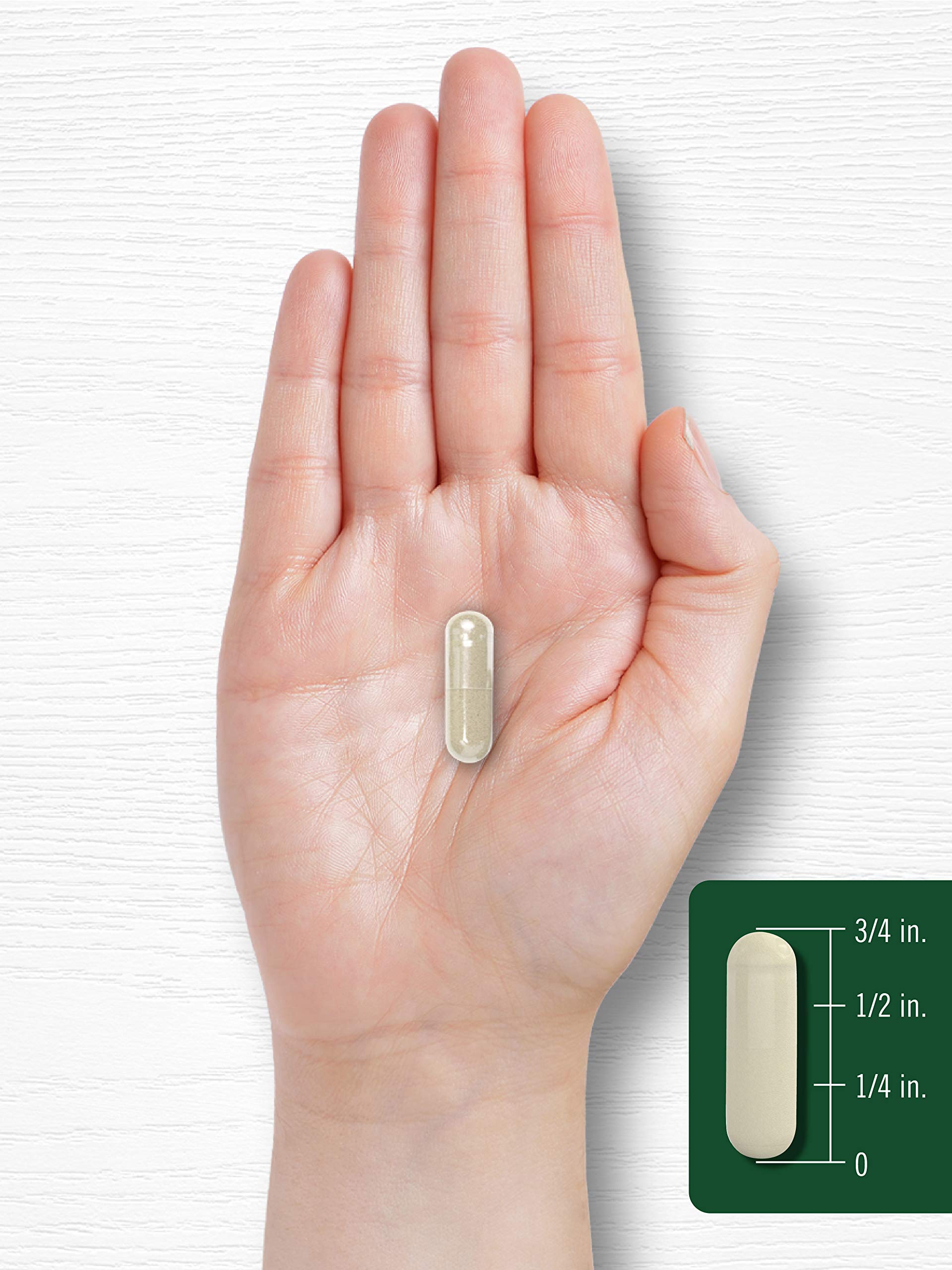 Carlyle Gymnema Sylvestre premium botanical capsule ingredients and directions view