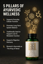 Close up of Quadraaura Haritaki capsules for digestive support